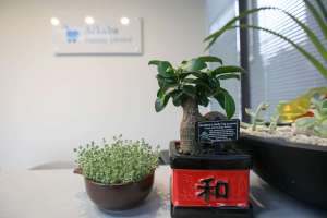 gallery6img